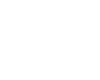 Honda - cliente Super Totem